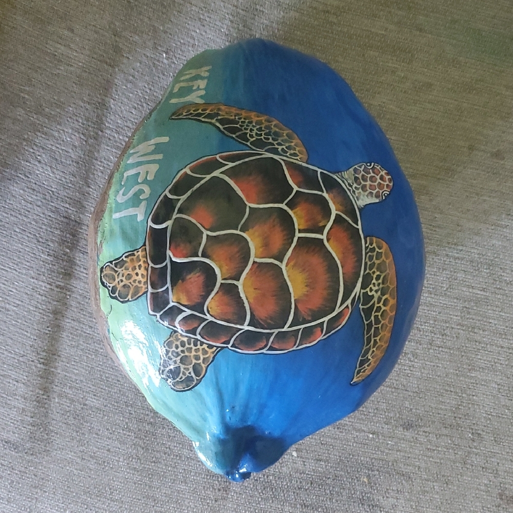 Hand-Painted Sea Turtle Coconut Art